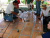 SRCA conference 2007