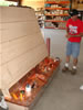 SRCA conference 2007